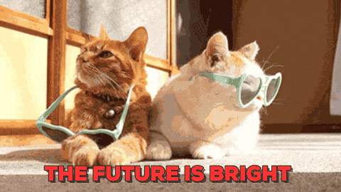 the future is bright cat