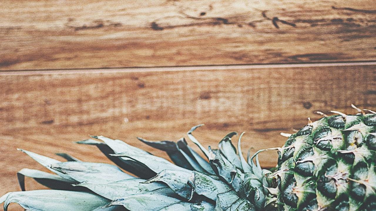 Why Nonprofits Should Accept Bitcoin (Amazing Examples!)