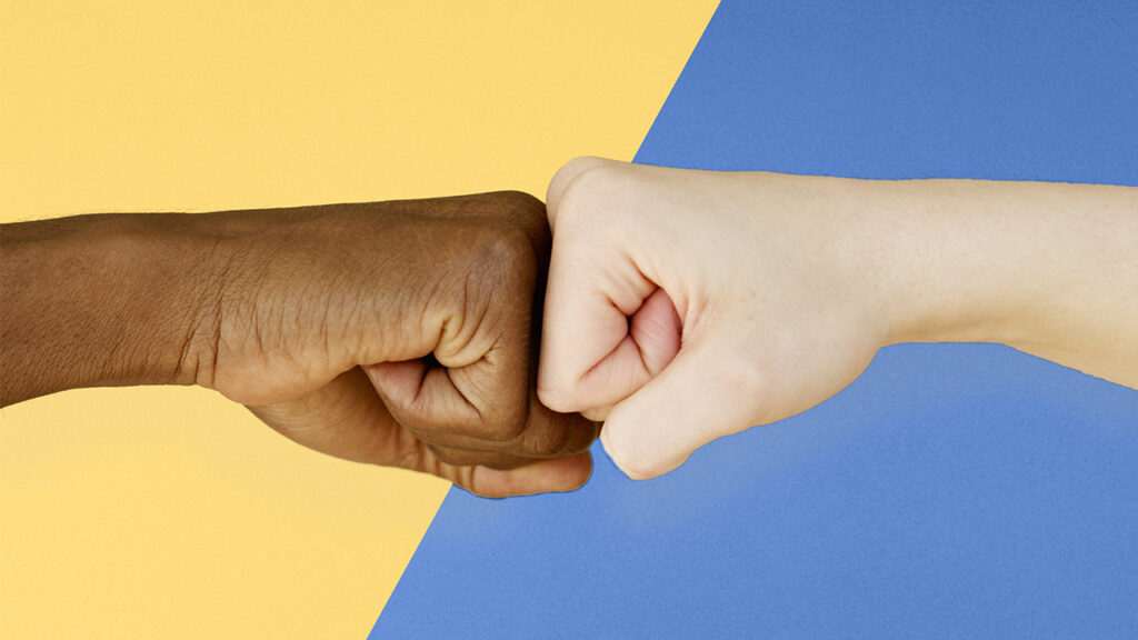 Our Favorite WordPress Plugins to Optimize Your Site Performance