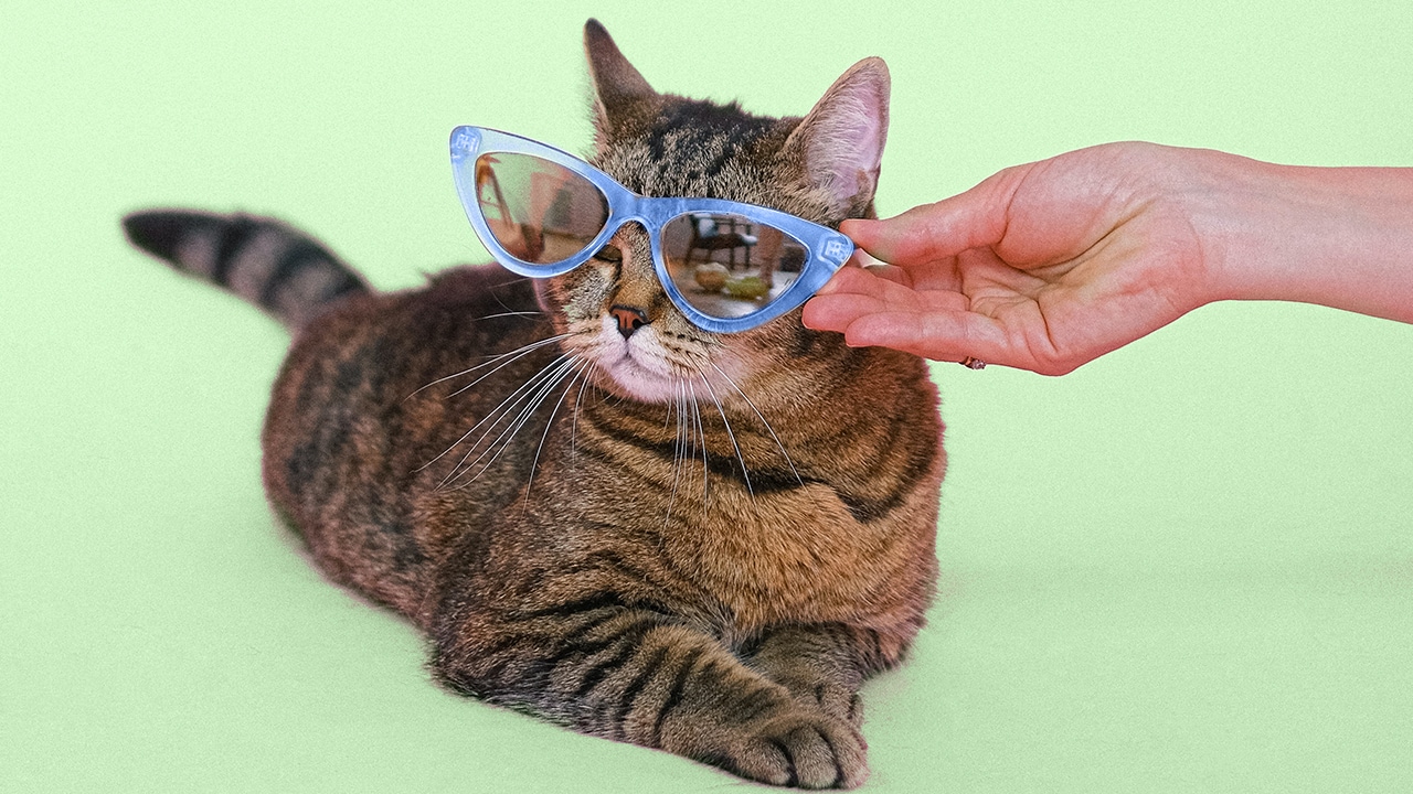 Let Your Website Pictures Say a Thousand Words with Image SEO